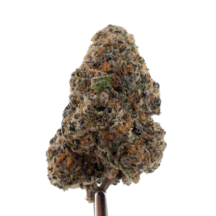 Alien Hallucination THCa