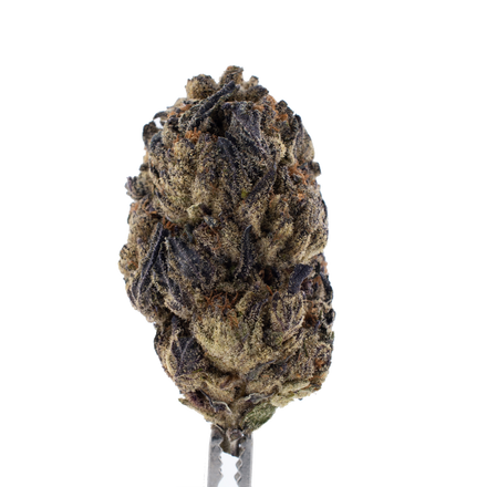 Wizard Fuel THCa