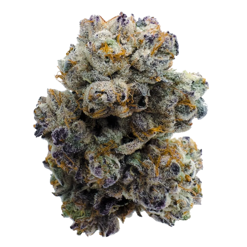 Sativa