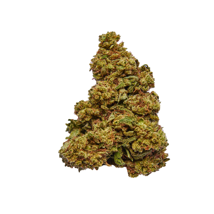 GG#4 THCa
