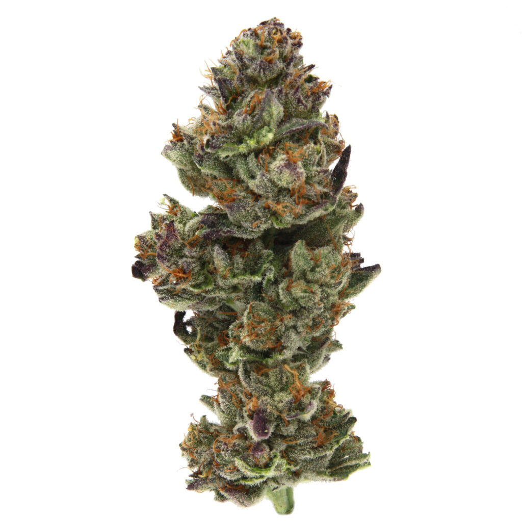 Jet Fuel Gelato