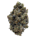 Orangelato
