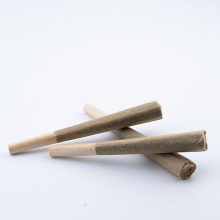1G AA Pre-Roll