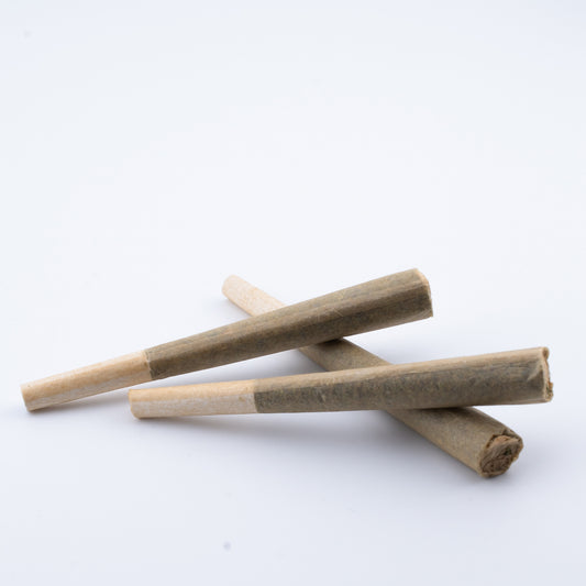 1G AA Pre-Roll