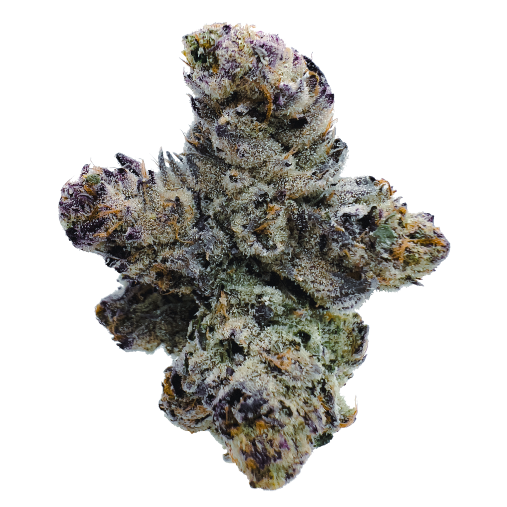 Purple Panty Dropper