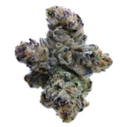 Purple Panty Dropper