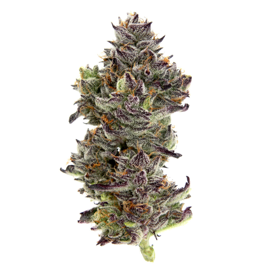 Purple Push Pop